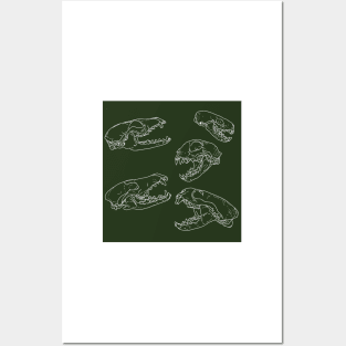 North American Predator Skulls White Lines Hunter Green Posters and Art